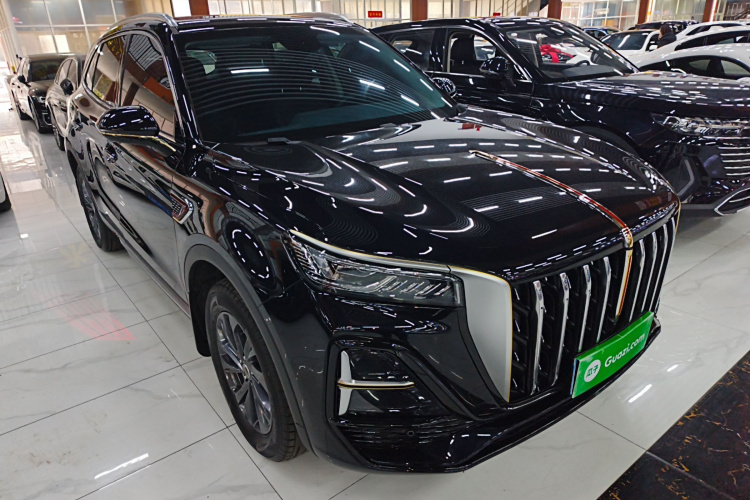 红旗HS5 2025款 2.0T 两驱60万辆纪念版车身外观3