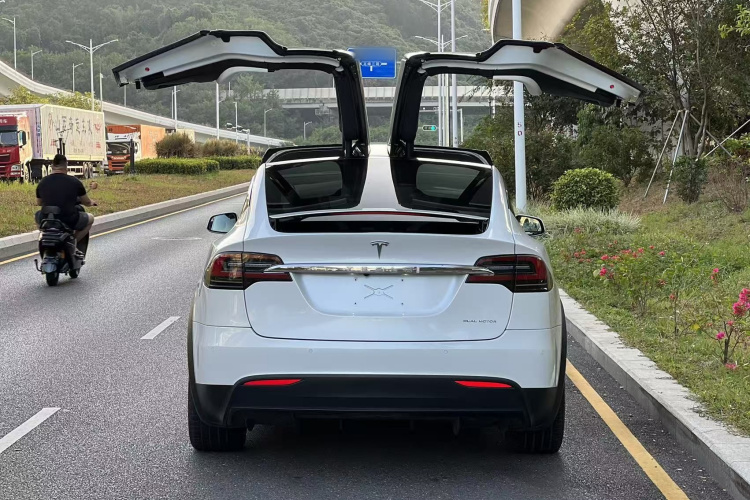 特斯拉 Model X 2019款 长续航版车身外观6008