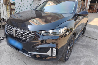 魏牌 VV6 2021款 2.0T 两驱智享+