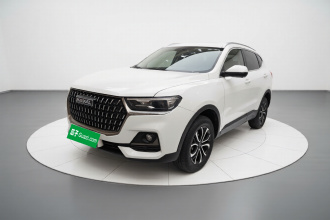 哈弗H6 2023款 国潮版 1.5T 自动都市版