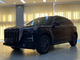 红旗HS5 2023款 2.0T 旗享Pro版