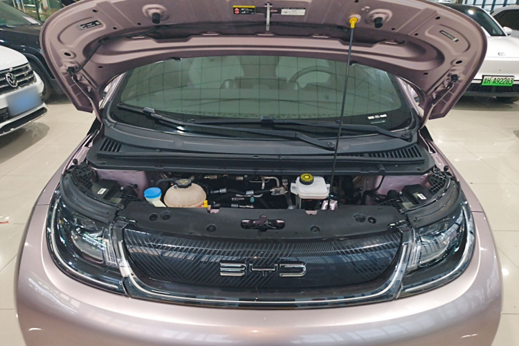 比亚迪 海豚 2021款 405km 时尚版机舱底盘24