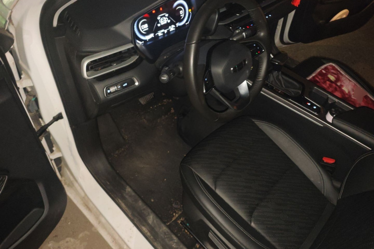 吉利汽车 帝豪 2022款 第4代 1.5L CVT尊贵型中控内饰20