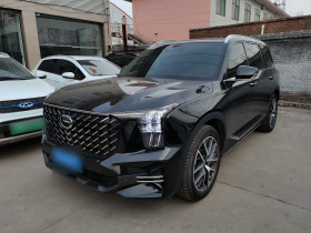 广汽传祺 传祺GS8 2024款 领航系列 2.0TGDI 两驱豪华智联版