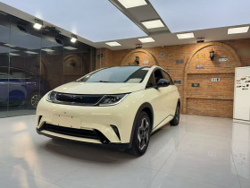 比亚迪 海豚 2021款 405km 时尚版