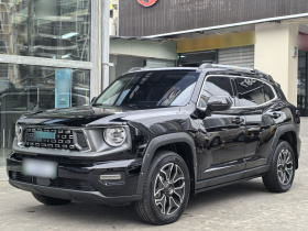 哈弗大狗 PLUS 新能源 2023款 DHT-PHEV 105km 潮电版Plus