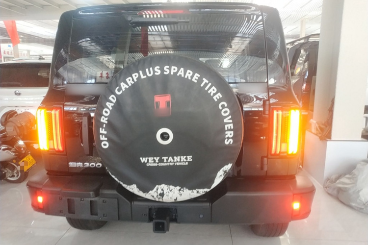 坦克300 2024款 2.0T 挑战者车身外观6