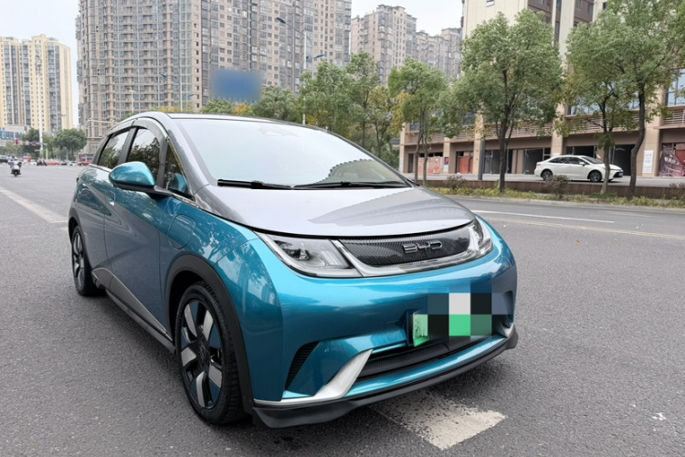 比亚迪 海豚 2021款 401km 骑士版车身外观6004