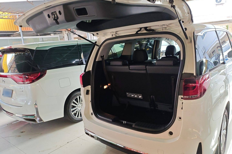 广汽传祺 传祺M8 2020款 领航款 390T 尊享版局部细节23