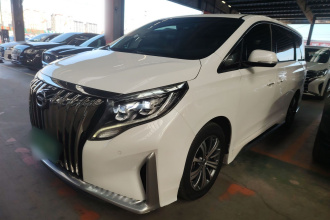 广汽传祺 传祺M8 2020款 大师版 390T 尊贵版