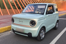 吉利银河 2024款 熊猫mini 200km 耐力熊