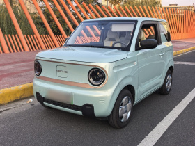 吉利银河 2024款 熊猫mini 200km 耐力熊