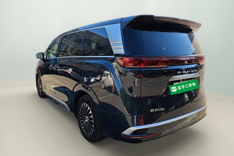 腾势D9 2024款 EV 600 四驱旗舰型车身外观5