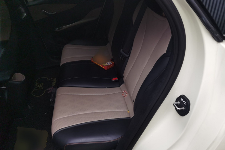 比亚迪 海豚 2023款 420km 自由版中控内饰7004