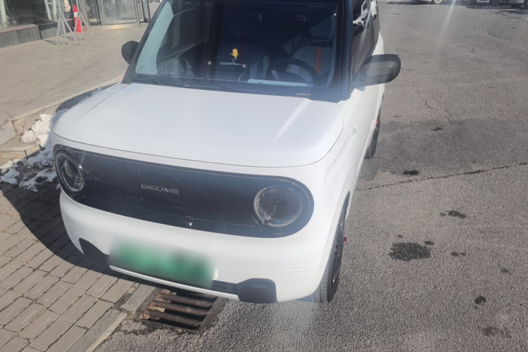 吉利银河 2024款 熊猫mini 200km 耐力熊车身外观6001