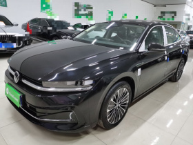 大众 迈腾 2024款 380TSI DSG尊贵版大迈包