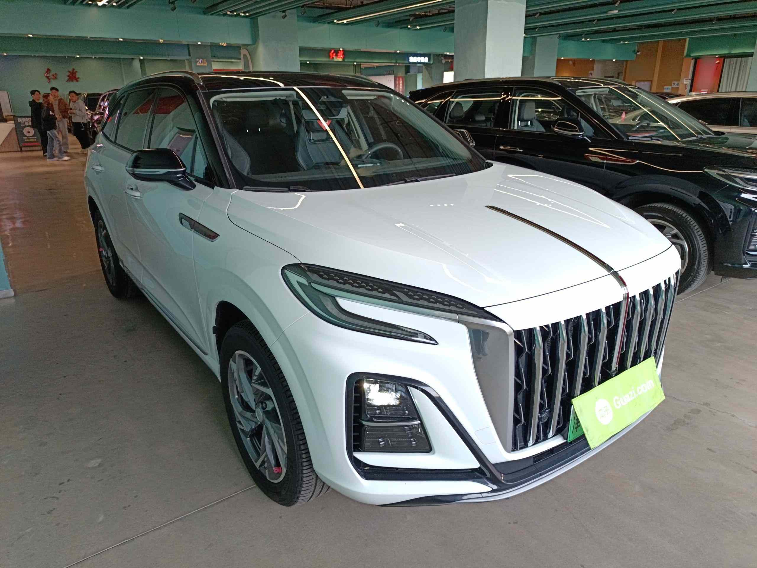 红旗HS3 PHEV 2024款 115km 劲为版(5)