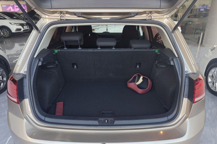 大众 高尔夫 2020款 200TSI DSG舒适进取版机舱底盘23