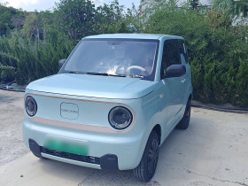 吉利汽车 2023款 熊猫mini 200km 耐力熊