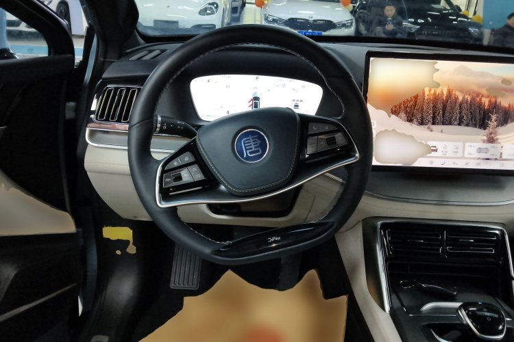 比亚迪 唐新能源 2024款 DM-p 冠军版 215KM 四驱旗舰型局部细节13