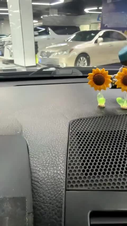 奥迪RS 4 2022款 RS4 Avant 黑曜版讲解1