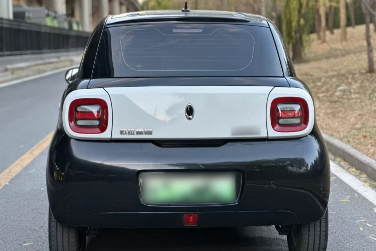 欧拉黑猫 2021款 351km 豪华型车身外观6006