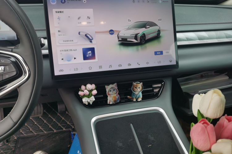 东风风行 星海S7 2024款 555悦享版局部细节16