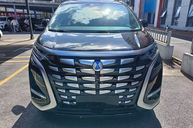 腾势D9 2024款 DM-i 1050 尊享型车身外观6004