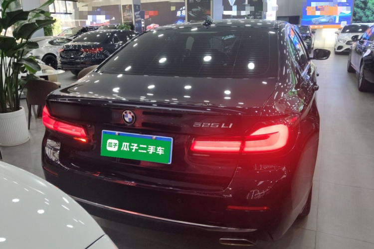 宝马5系 2022款 改款 525Li 豪华套装车身外观6