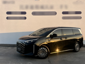 比亚迪 夏 2025款 DM-i 1.5T 180km 超越型