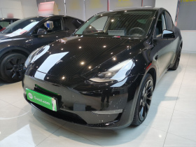 特斯拉 Model Y 2021款 标准续航后驱版