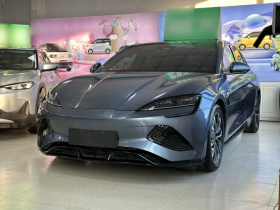 比亚迪 海豹 2023款 冠军版 550km 尊贵型