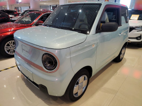 吉利银河 2023款 熊猫mini 200km 耐力熊