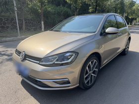 大众 高尔夫 2018款  230TSI 自动豪华型