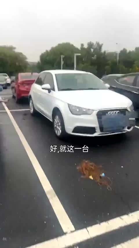 奥迪A1 2014款 30 TFSI Sportback时尚型讲解2