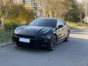 极氪001 2023款 YOU版 100kWh