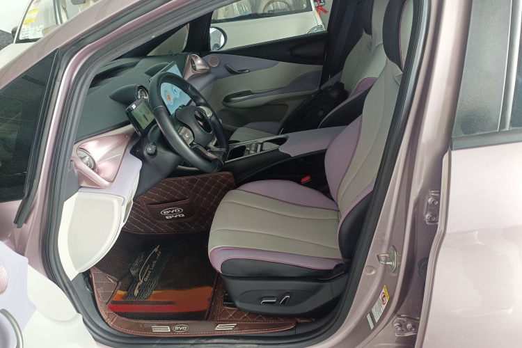 比亚迪 海豚 2021款 405km 时尚版局部细节19