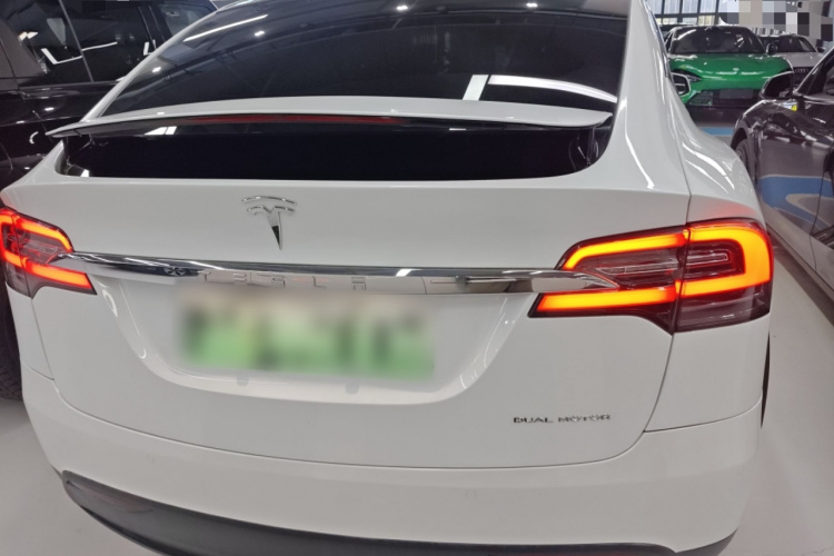特斯拉 Model X 2019款 长续航版车身外观6