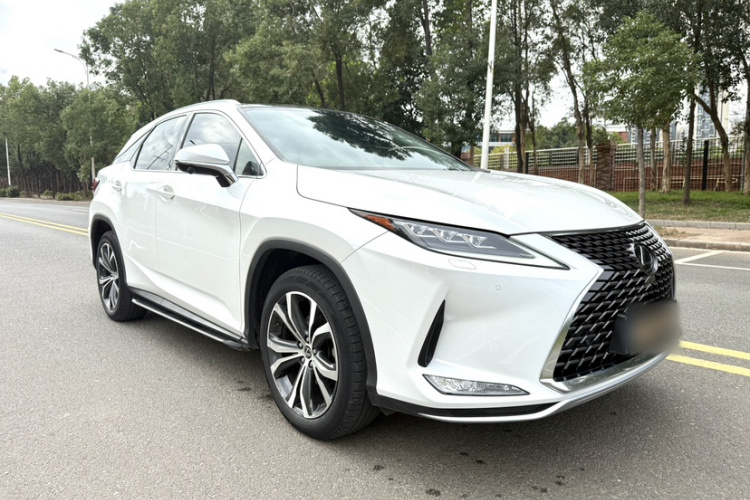 雷克萨斯RX 2020款 300 四驱典雅版 国VI车身外观6002