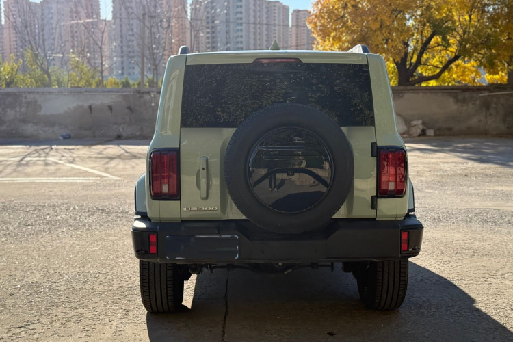 坦克300 2024款 2.0T 穿越者车身外观6004