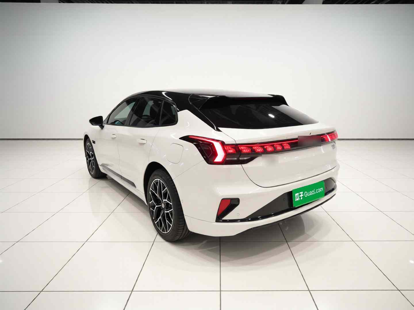 极氪001 2024款 WE版 100kWh 后驱(3)