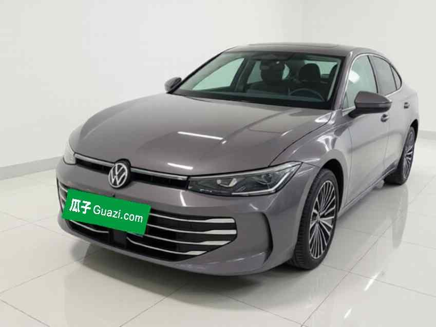 大众 帕萨特 2025款 Pro 380TSI 龙尊版(2)