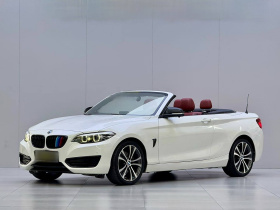 宝马2系(进口) 2019款 225i 敞篷轿跑车 运动设计套装