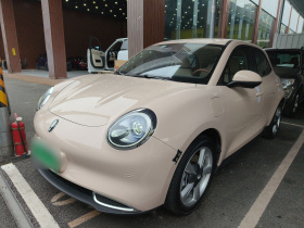 欧拉好猫 2023款 401km标准续航 豪华型 磷酸铁锂