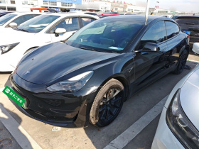 特斯拉 Model 3 2021款 改款 标准续航后驱升级版 3D1