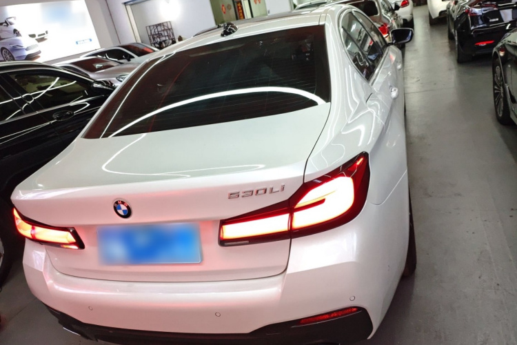 宝马5系 2021款 530Li 领先型 M运动套装车身外观6