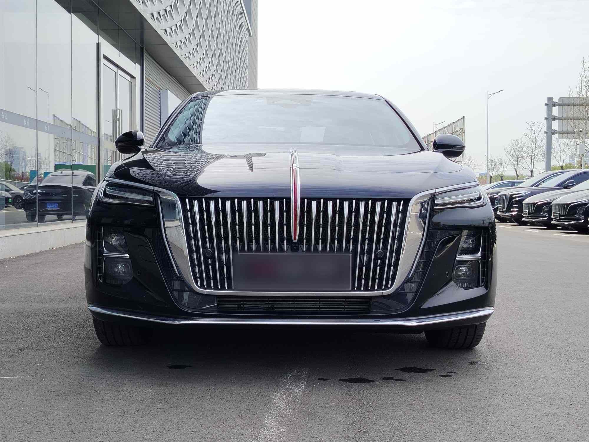 红旗H5 2024款 2.0T 自动智联旗畅版(2)