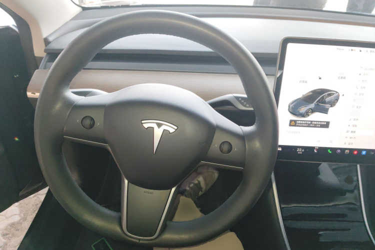 特斯拉 Model 3 2019款 标准续航后驱升级版局部细节13