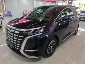 腾势D9 2022款 DM-i 970 四驱旗舰型