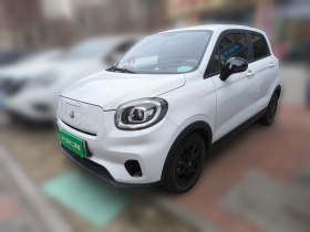 零跑汽车 零跑T03 2023款 310轻享版